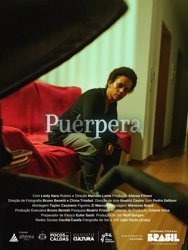 Pôster do filme Puérpera